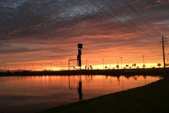 runner up non porsche Coulter