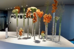 IMG_20160909_193940365_HDR