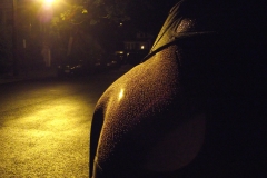DSCF3523